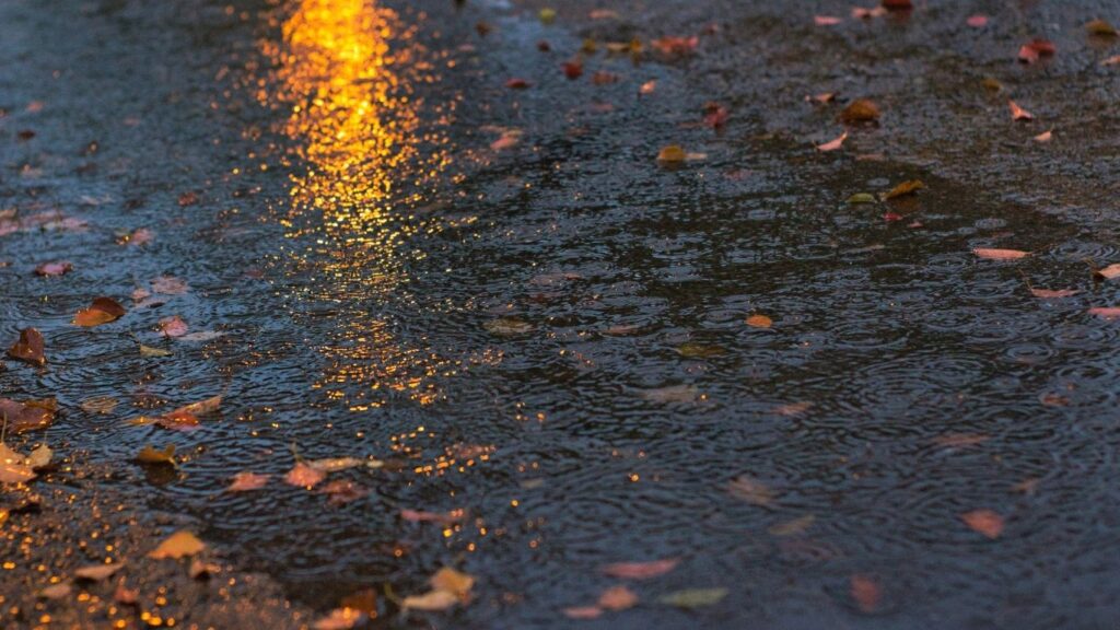 秋の短歌 雨