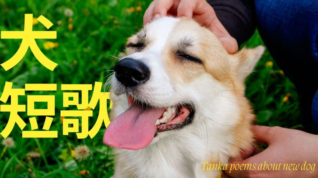 犬の短歌
