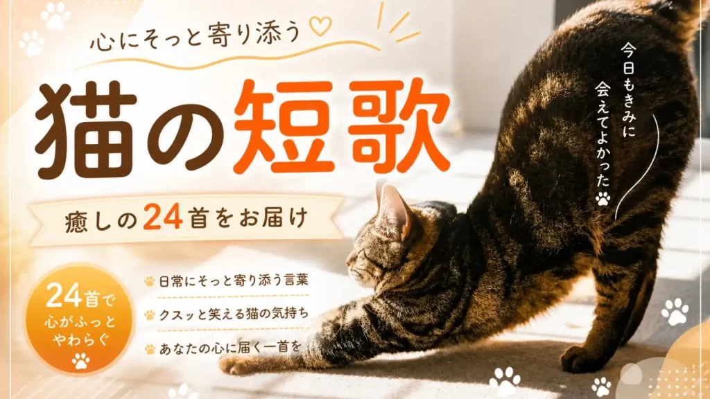 猫の短歌