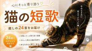 猫の短歌